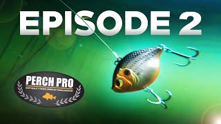 PERCH PRO 7  Episode 2 [upl. by Routh]