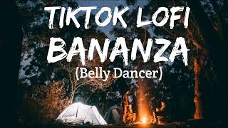 Bananza Belly Dancer TikTok LoFi [upl. by Assylem]