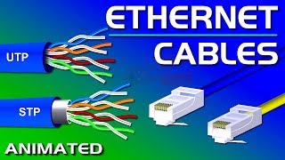 Ethernet Cables UTP vs STP Straight vs Crossover CAT 55e678 Network Cables [upl. by Clayton634]