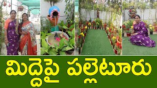 ఈ మిద్దె తోటలో కొత్తగా బోలెడన్ని ఐడియాలు  Garden Tour  Terrace Garden  Creations By Shobha  TTH [upl. by O'Doneven663]