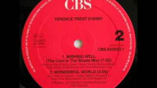 Wishing well 12  TERENCE TRENT DARBY  DJ OUIPET  1987 [upl. by Namijneb]