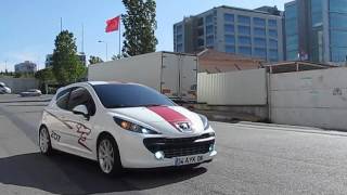 Peugeot 207 RC LeMans caraudiosoul [upl. by Breh]