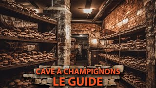 🍄 Faire POUSSER des CHAMPIGNONS dans sa CAVE Le GUIDE [upl. by Knapp]