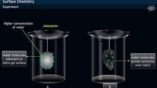 Adsorption amp Absorption  Experiment [upl. by Capello585]