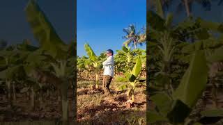 Oruvar மீது oruvar saainthu shortsfeed tamilsong reels super [upl. by Aihc]