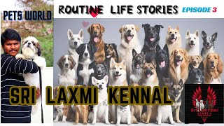 EPI 3ALL PET DOGS AVILABLE IN SREE LAXMI KENNEL  ROUTINE LIFE STORIES petsvlog dog [upl. by Esimehc]