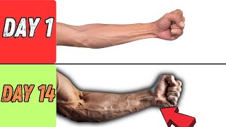 intense 5 m home minute forearm workout [upl. by Enotna204]