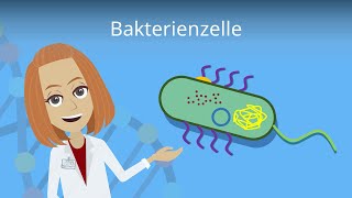 Bakterienzelle  Aufbau amp Funktion einfach erklärt  Studyflix [upl. by Bron]