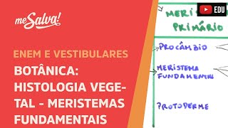 Me Salva BOT16  Botânica  Histologia vegetal meristemas fundamentais [upl. by Nylram566]