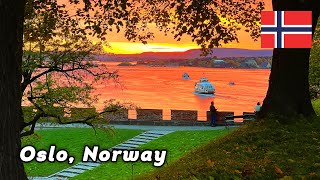 Visit Oslo Norway [upl. by Yrram]