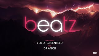 Beatz  Featuring Yoely Greenfeld amp DJ Ancii [upl. by Castle]