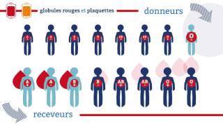 EFS  La compatibilite des groupes sanguins [upl. by Killian]