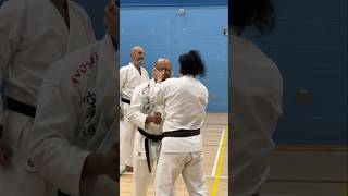 Heian Yondan Bunkai [upl. by Bayless]