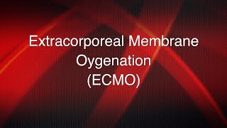 Extracorporeal membrane oxygenation ECMO [upl. by Einnhoj61]