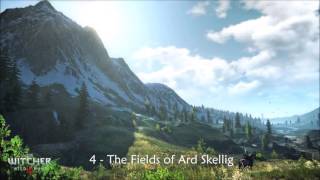 The Witcher 3 Wild Hunt  The Fields of Ard Skellig [upl. by Zingale881]