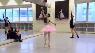 2014 World Ballet Day [upl. by Ahsael974]