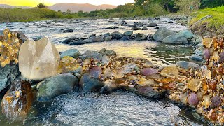 Finding Natural Crystal Carnelian Agate Amethyst Gemstones At The Mountain Episode77 [upl. by Lorenzo469]