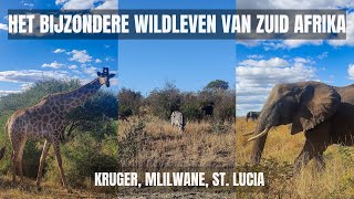 HET BIJZONDERE WILDLEVEN VAN ZUID AFRIKA  WERELDREIS [upl. by Akiemahs592]