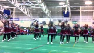 Copley Divas Tameside Cheerleading Champions 2011 [upl. by Lizabeth905]