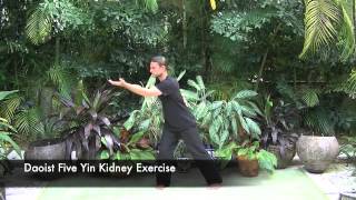 Daoist Five Yin Qigong Set [upl. by Mcleod]