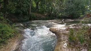 ASMR Calbys Hidden Beauty River Ocho Rios Jamaica A River That Sings With a Crystal Clear Voice [upl. by Neirod]