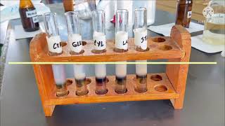 Biochemistry Lab Molisch test Bials Orcinol test and Seliwanoffs test [upl. by Dianuj256]