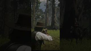 RDR2  Lemoyne Raiders shorts arthurmorgan rdr2clips outlaws cowboy gaming outlawsforlife [upl. by Spragens]