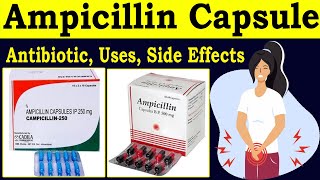 Ampicillin capsules lp 500mg 250mg  Antibiotics Uses Dose Side Effects pharmacology [upl. by Pelag]