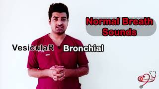 Breath sounds  Lung Sounds  Wheezing  Crackling Rales Stridor Rhonchi clinicaltalks [upl. by Joey]