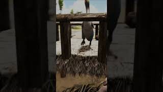 How To Tame A Hesperornis In Ark Survival Evolved shorts ark [upl. by Nortna263]