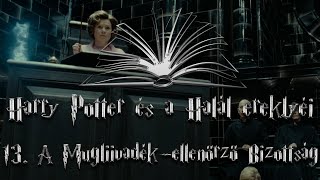 Harry Potter és a Halál ereklyéi hangoskönyv  13 fejezet [upl. by Siddon822]