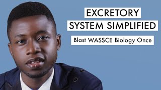 WAEC Biology Tutorial Questions amp Answer 2024 On Excretory Mechanism Top 1 [upl. by Etessil785]