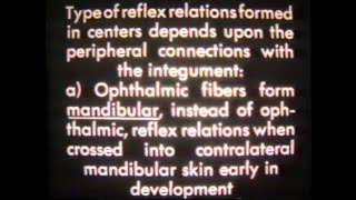 1940s Lab Experiment Roger W Sperry  Caltech [upl. by Poirer697]