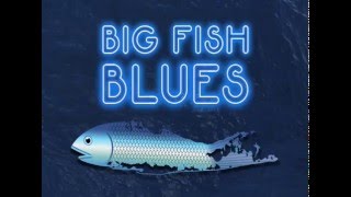 Big Fish Blues Official Trailer [upl. by Dryden288]