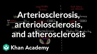 Arteriosclerosis arteriolosclerosis and atherosclerosis  Health amp Medicine  Khan Academy [upl. by Docilla]