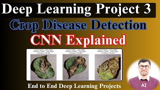 Mastering Crop Disease Classification  CNN Explained  Crop recommendation system Deep learning [upl. by Flem723]