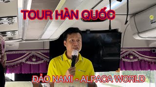 Từ Mỹ về Việt Nam  tour Hàn Quốc Ngày 1 Đảo Nami  Cám ơn HDV Chương đã cung cấp nhiều thông tin [upl. by Wren]