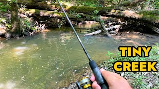 Simplified Creek Ultralight Fishing [upl. by Samanthia365]