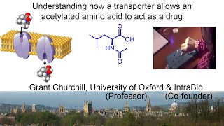 Understanding How a Transporter Allows an Acetylated Amino Acid to Act as a Drug [upl. by Anelhtak]