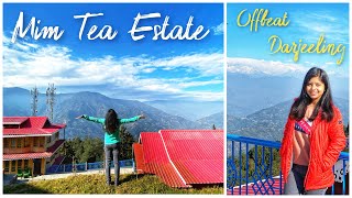 Our Stay at Mim Tea Estate  Offbeat Darjeeling  Little Forest Homestay [upl. by Yenobe946]