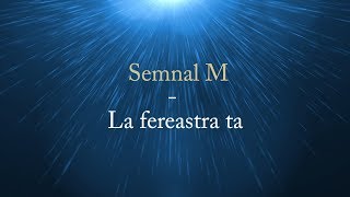 Semnal M  La fereastra ta versuri lyrics karaoke [upl. by Ssitnerp]