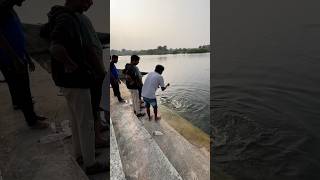 fishcutting fishing fishingvideo fishinglife fish [upl. by Euridice368]