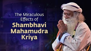 The Miraculous Effects of Shambhavi Mahamudra Kriya [upl. by Airottiv]