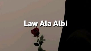 Law Ala Albi  Lirik amp Terjemahan  Viral di Tiktok [upl. by Cudlip]