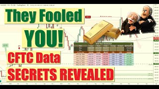 🎯 How to Analyze CFTC CoT Report Data for Gold Oil USD EUR and How to Trade Forex Currency Pairs [upl. by Chancelor]