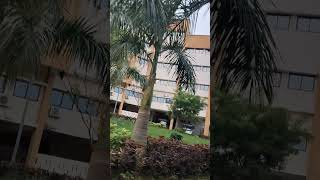 Balangir BhimaBhoi medical college medicalstudent medicalcollege love trendingshorts [upl. by Geddes]