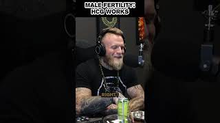 Male Fertility HCG works fertility hcg hormones trt relentlesspursuit podcast pregnancy [upl. by Ladd974]