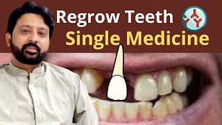 How to Regrow Your Teeth with a Single Medicine  New Japanese Research [upl. by Aicena]