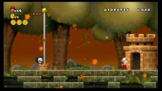 Newer Super Mario Bros Wii 100 World A  Goldwood Forest [upl. by Hera]