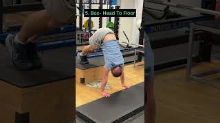 Pike Push Up Progression shorts pikepushup [upl. by Phillane]